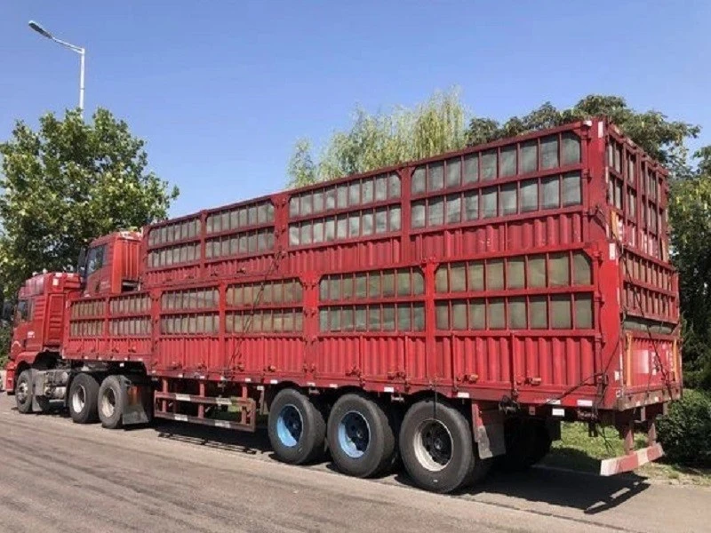 product-800-600 product-800-600