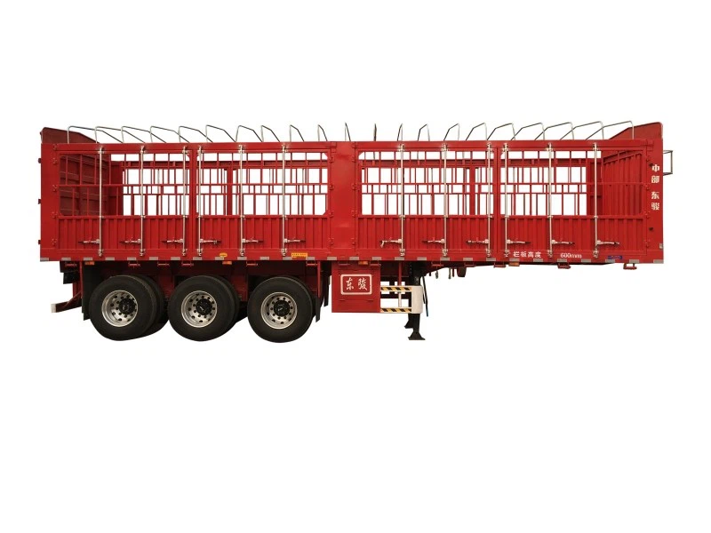 product-800-600 product-800-600